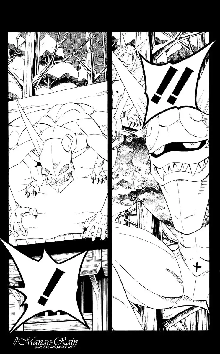 Shaman King Chapter 171 17